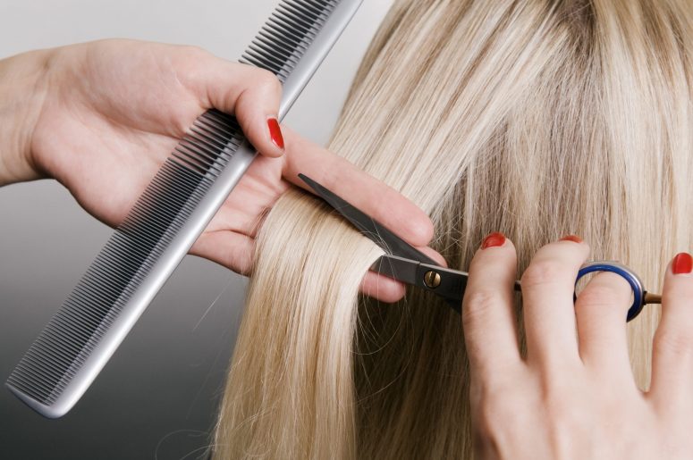 hairdresser cutting blonde hair. closeup over grey background